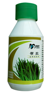 幫控